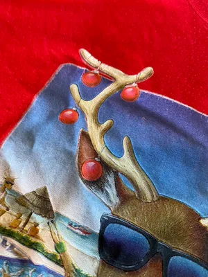 reindeer on beach Tshirt Size XXL thumbnail 3