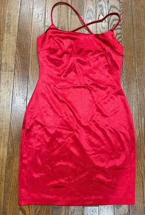 Windsor Scarlet Evening Gown thumbnail 1