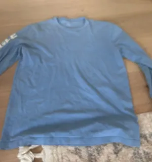 Blue American Eagle thumbnail 1