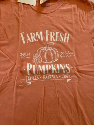 Comfort Colors Farm Fresh Pumpkins Fall Graphic Tee thumbnail 2