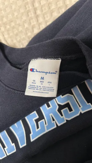 Champion Sweatshirt Crewneck thumbnail 2