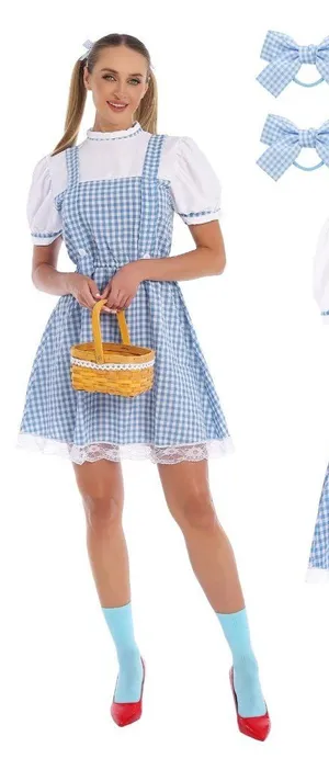 Adult Blue Plaid Dress OZ Halloween Costume w/ Accessories MEDIUM thumbnail 1