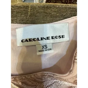 NWT Caroline Rose Size XS Bella Soiree Bell Sleeve Swing Dress ‎ $448 New Lace thumbnail 4