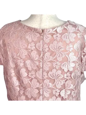 Scarlett Nite Lace Overlay MOB Cocktail Dress Pink 20W Floral Wedding Tea Shower thumbnail 8