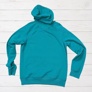 Carhartt Force Teal Hoodie Womens S Relaxed Fit Workwear Gorpcore TS5569 thumbnail 2