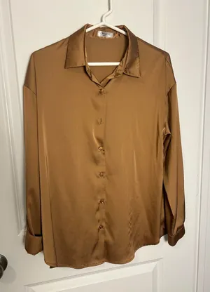 Amazon Satin Button-Up Blouse in Brown thumbnail 1