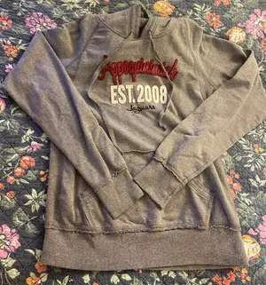 College House Appoquinimink Hoodie thumbnail 1