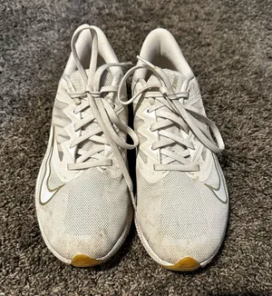 Nike Shoes thumbnail 1