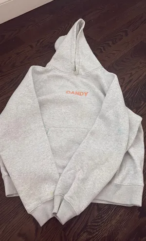 Dandy Worldwide Let's Watch The Sunset Hoodie Grey Small thumbnail 1