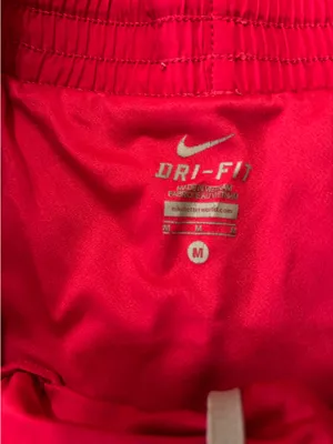 Dri-Fit Nike Shorts thumbnail 2
