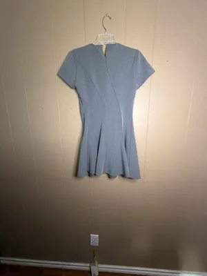 Zara Gray Short Sleeve Seamed Fit and Flare Mini Dress thumbnail 3