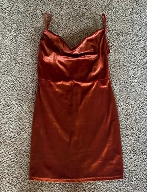 Cowl Neck Bodycon Mini Dress thumbnail 1