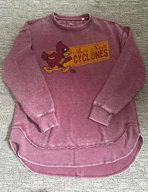Pressbox Iowa state sweatshirt thumbnail 1