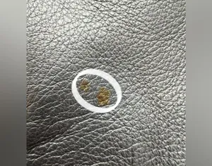 Coach | ladies Kelsey crossbody satchel handbag. thumbnail 15