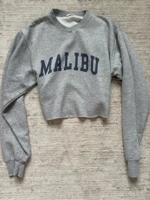 Brandy Melville Malibu Gray Cropped Crewneck (OS) thumbnail 3