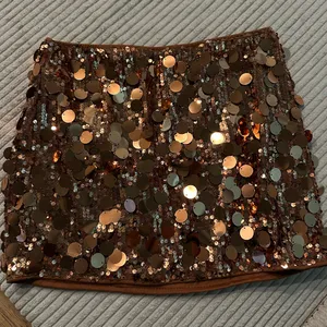 Brown Sequin Skirt thumbnail 1