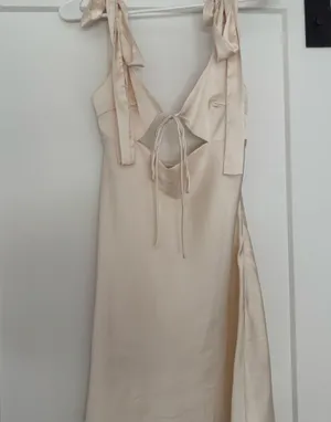 Champagne lioness mini dress thumbnail 1