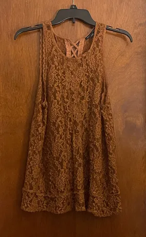 American Eagle Outfitters Brown Lace Camisole thumbnail 1
