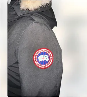 Authentic Canada Goose Jacket Women’s Size XS thumbnail 4