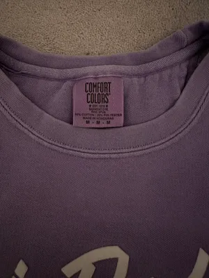 Comfort Colors Tri Delta Crewneck thumbnail 2