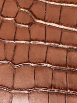 Gianni Bini Brown Crocodile Embossed Tall Knee High Boots Size 7.5M NWOB thumbnail 3