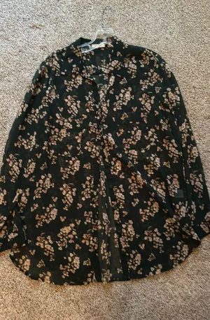 sheer long sleeve blouse Size L thumbnail 1