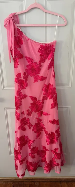 Hello Molly Dress thumbnail 1
