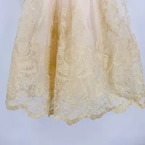 Sheer Gold Lace Overlay Formal Dress Sweetheart Neckline Victorian Regency Sz 2 thumbnail 6