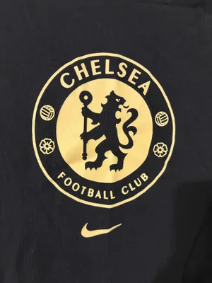 Chelsea Nike shirt thumbnail 2