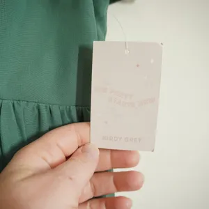 Birdy Grey NEW Hannah Chiffon Maxi Dress Eucalyptus Green Flutter Sleeve V-Neck thumbnail 5