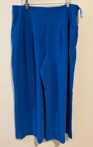 Ted Baker London Blue Pleated Culotte Pants‎ Wide Leg Size 4 NWT thumbnail 1