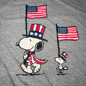 Peanuts Snoopy Woodstock American Flag Graphic T-Shirt Gray Large Patriotic Tee thumbnail 4