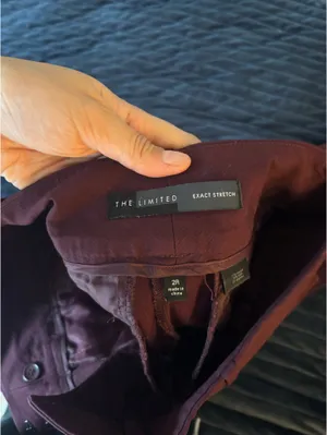 The Limited Dress Pants thumbnail 2