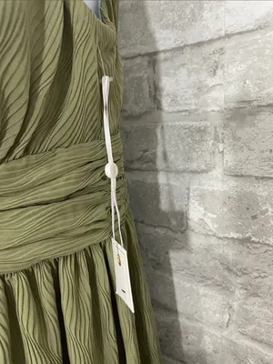 Siena Pleated Chiffon Midi Dress in Sweet Pea thumbnail 4