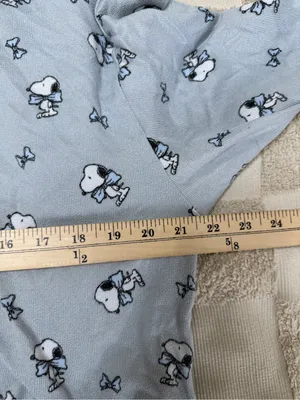 Ae American Eagle Peanuts Bow Plush Pj Pajama Set -‎ Women’s M thumbnail 5