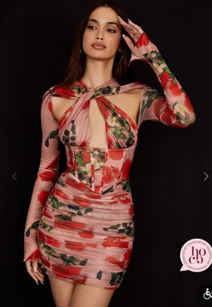 House of CB Adanna Rose Print Corset Mini Dress Size Large -3041 thumbnail 1