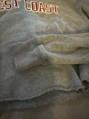 Brandy Melville Gray 'West Coast' Crop Sweatshirt with Maroon Lettering thumbnail 3