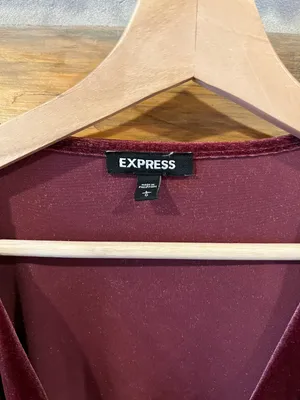 Express Velvet V Neck Bodysuit thumbnail 3