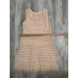 Ryu Anthropologie Peach Sequin Chevron Lace Tulle‎ Mini Dress Womens Large thumbnail 7
