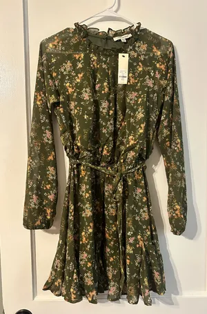 Francesca's Dress thumbnail 1