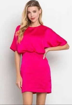 TCEC Dress. Caroline pink Satin Dress by TCEC. NWT thumbnail 1