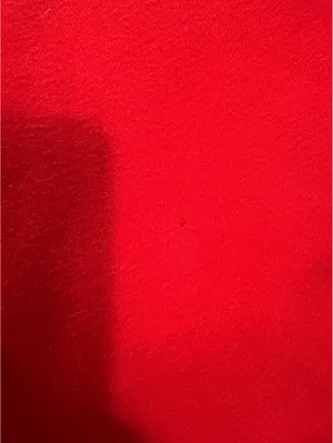 Y2K P.S. Aeropostale Red Sequin Low Rise Flare Sweatpants Girls 14 Or Women XS thumbnail 6