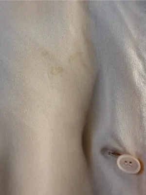 Ann Taylor Soft Cream Silk Button-Front Blouse thumbnail 6