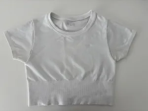 American Eagle Aerie t shirt crop top thumbnail 1