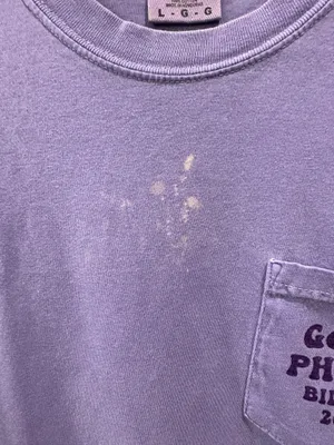 Comfort Colors Go Go Phi Mu Bid Day Tee thumbnail 5