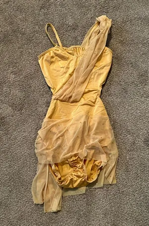 Gold Dance Costume Size L thumbnail 1