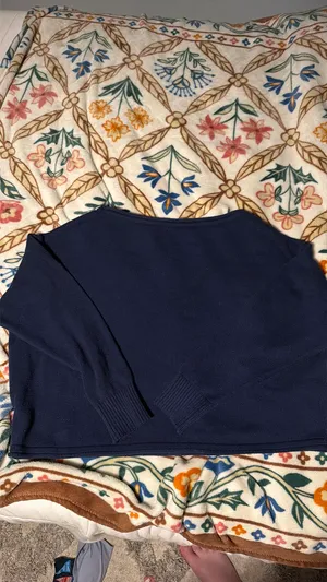 Wild Fable Sweater Cropped thumbnail 2