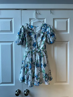Showpo Deep V Puff Sleeve Dress thumbnail 4