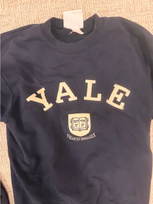 Yale Champion Sweatshirt thumbnail 3