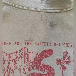 Urban Outfitters Light Pink Graphic Hoodie thumbnail 2